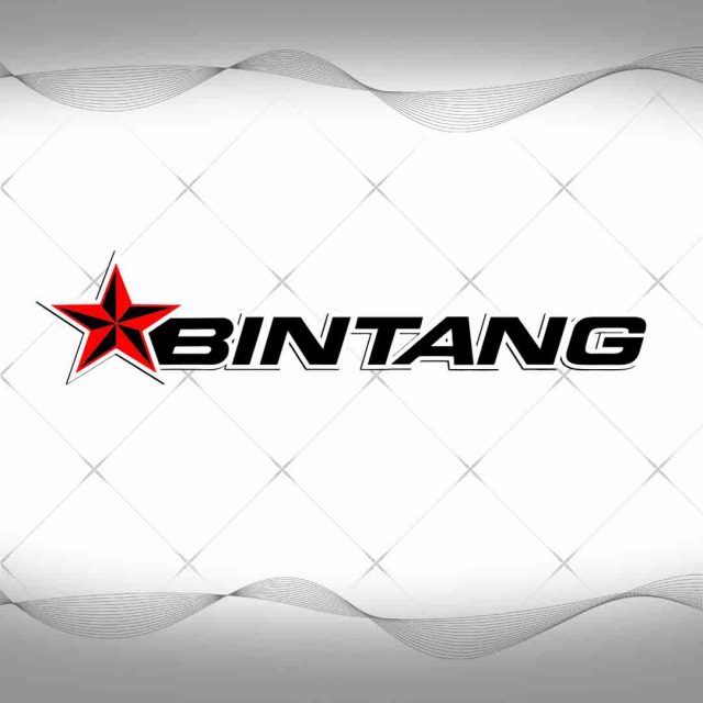 Bintang Racing Team Bintang Bikers 1365